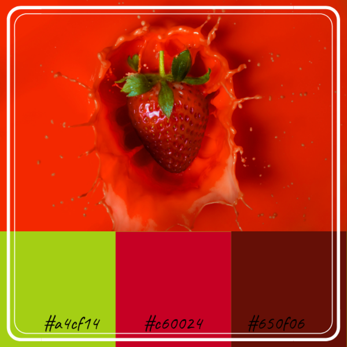 Color Combinations Inspired by Fruits - 58