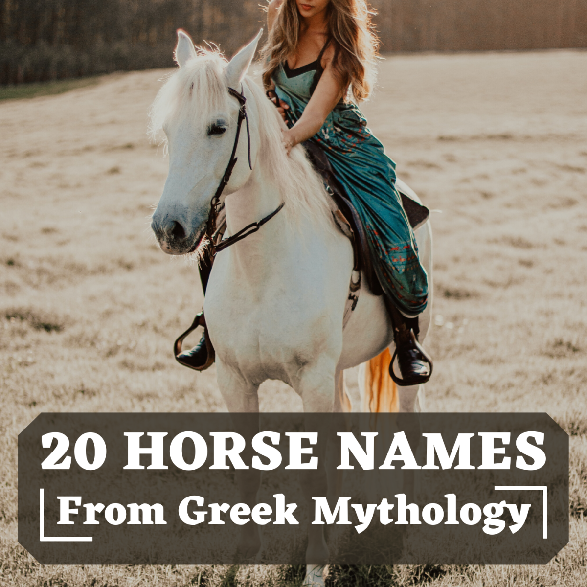 20 Legendary Names for Horses From Greek Mythology