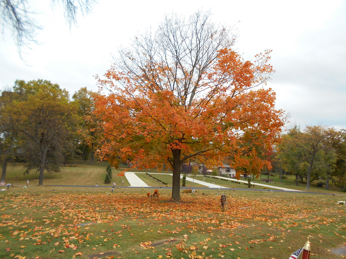 Queen of Heaven Cemetery - Canonsburg, PA Queen of Heaven Cemetery - Canonsburg, PA