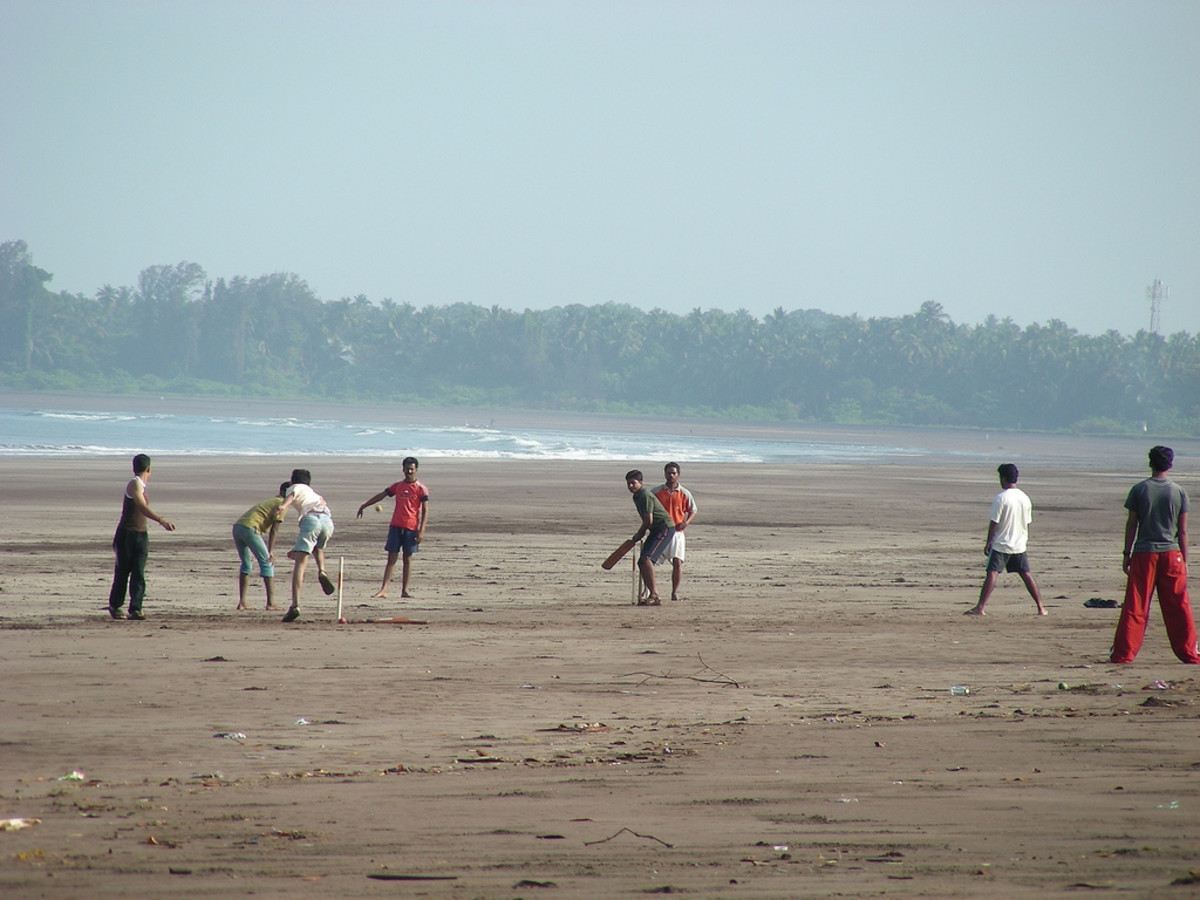 a game of cricket