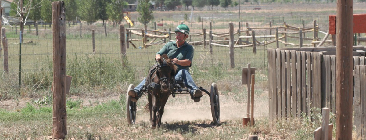 Obstacles in an informal combined driving type event. PJ drives dressage, cones and obstacles in his HyperBike. 