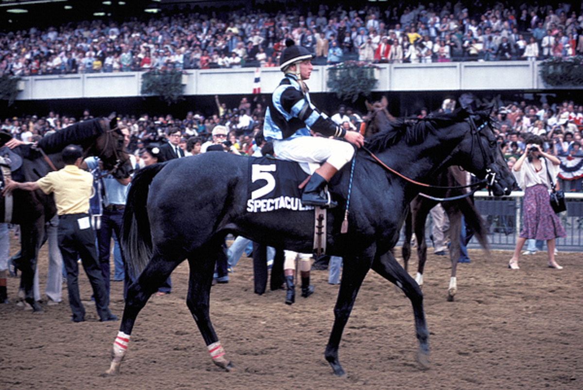 top-racehorses-in-history