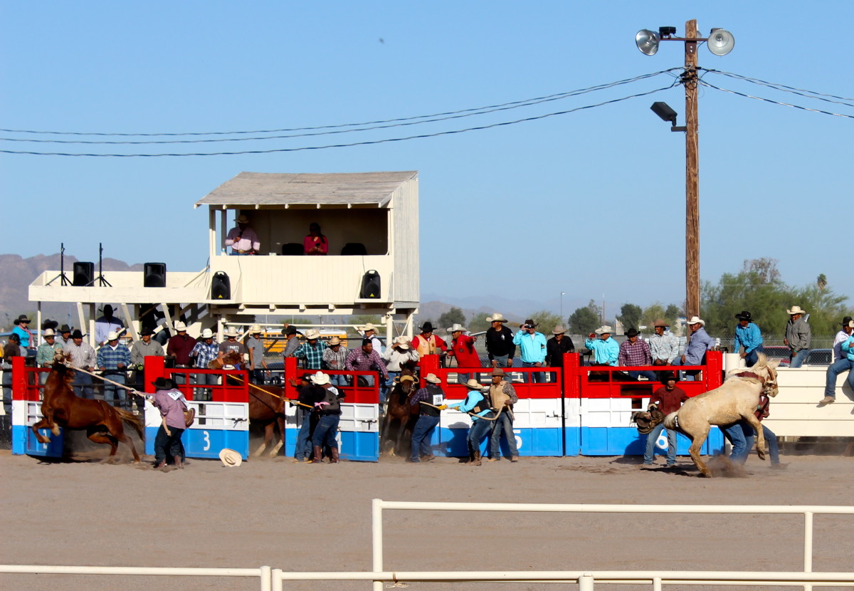 MulChuTha AllIndian Rodeo Riding, Roping, and Racing on the Res