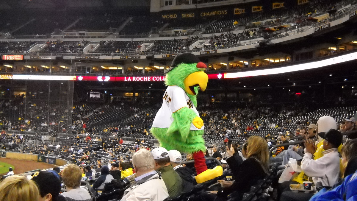 The Pirate Parrot Entertaining the Fans