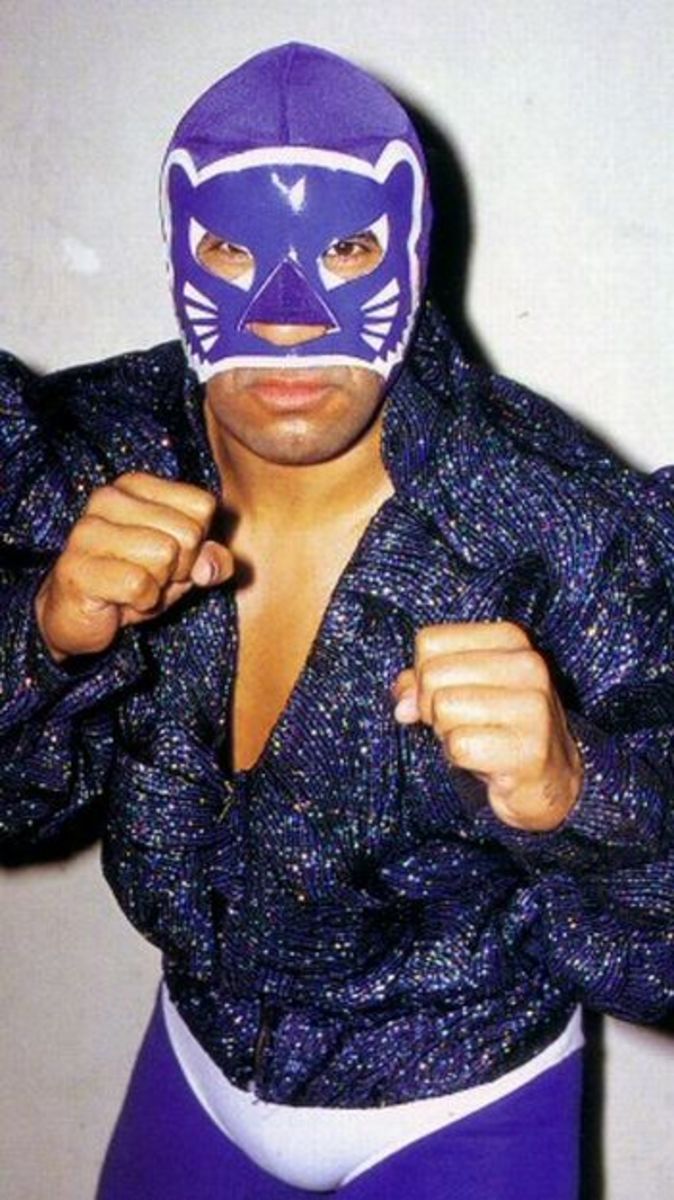 lucha-tributes-blue-panther
