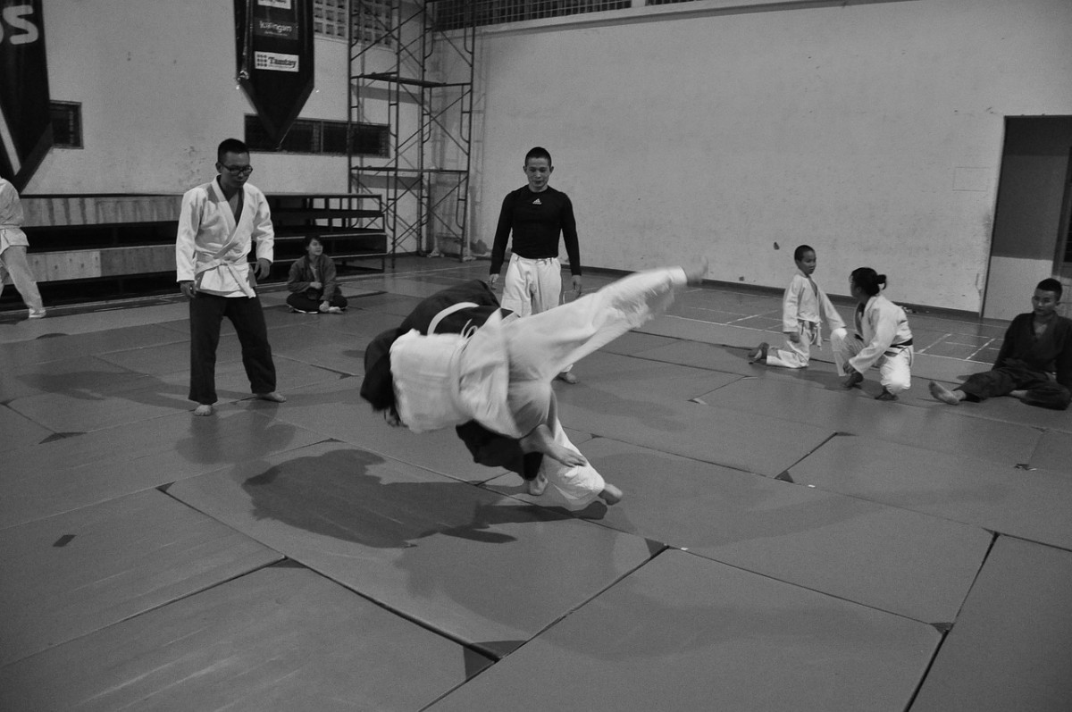 Martial Arts Similar to Judo HowTheyPlay