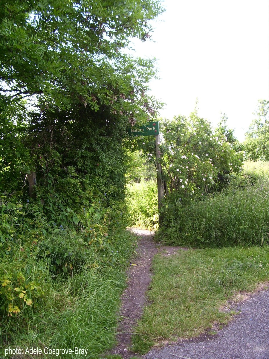 Entrance to Gilroy Nature Park