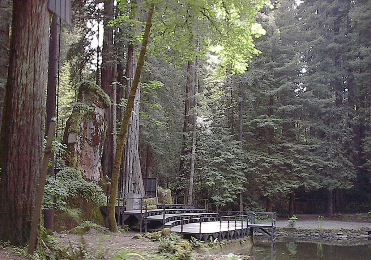 The Bohemian Grove Shrine Deep in the Redwoods