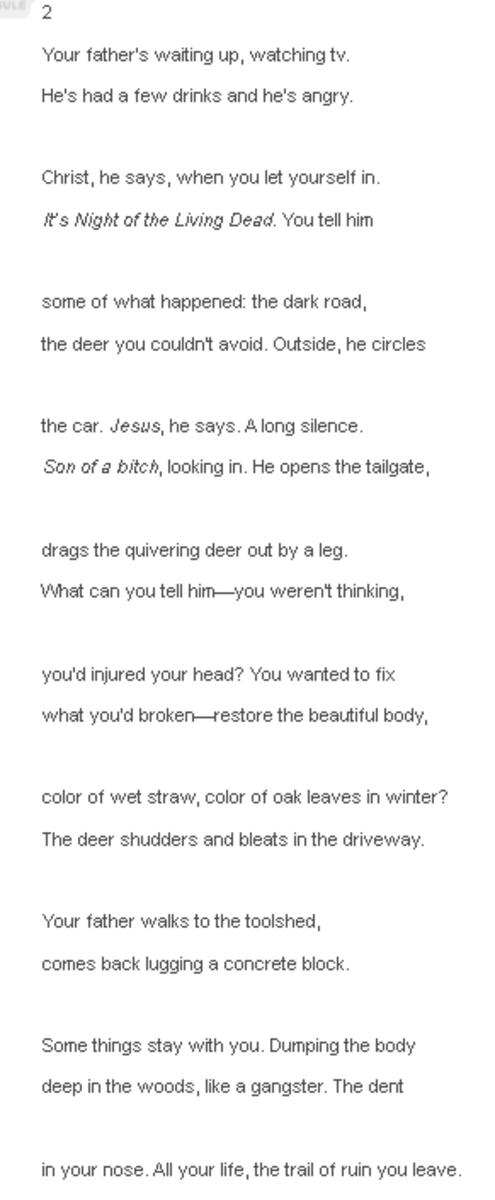 analysis-of-poem-deer-hit-by-jon-loomis