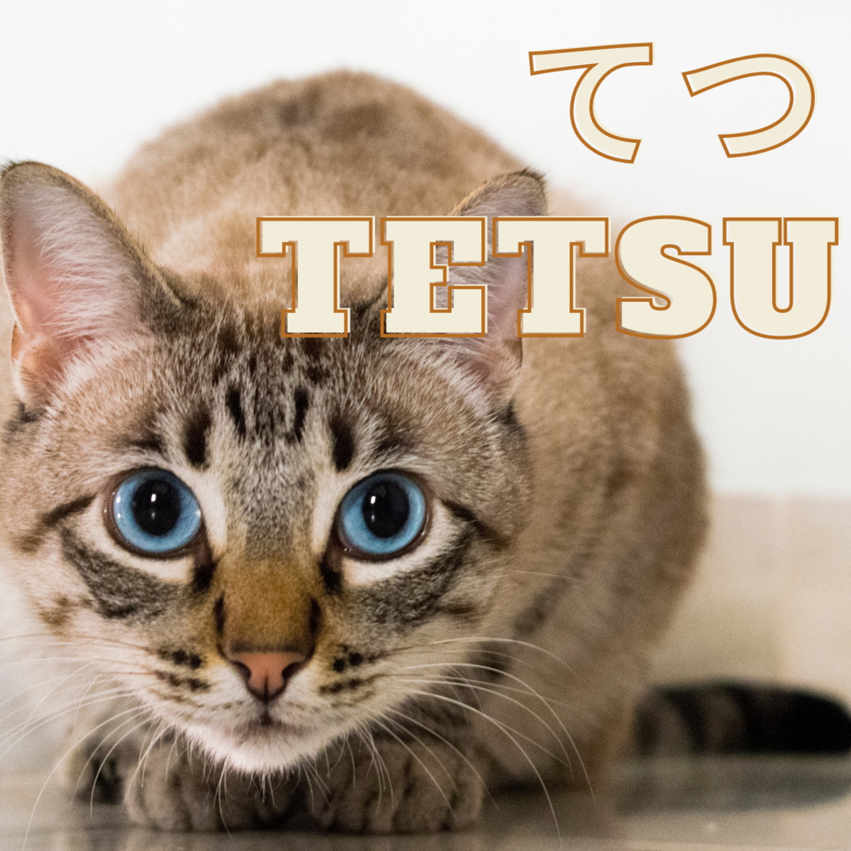 Tetsu or Iron