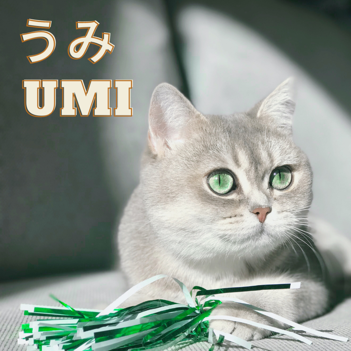 Umi or Sea