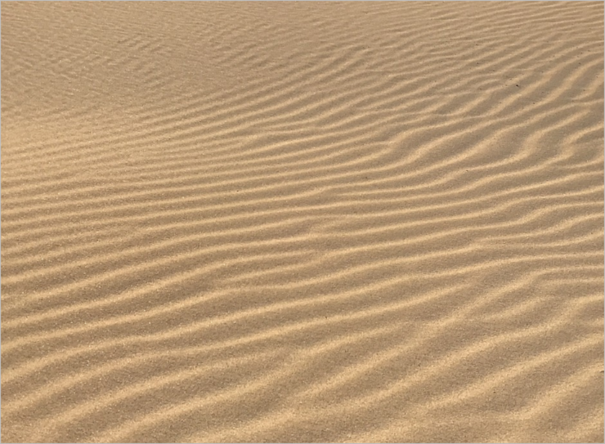 the-desert-sands