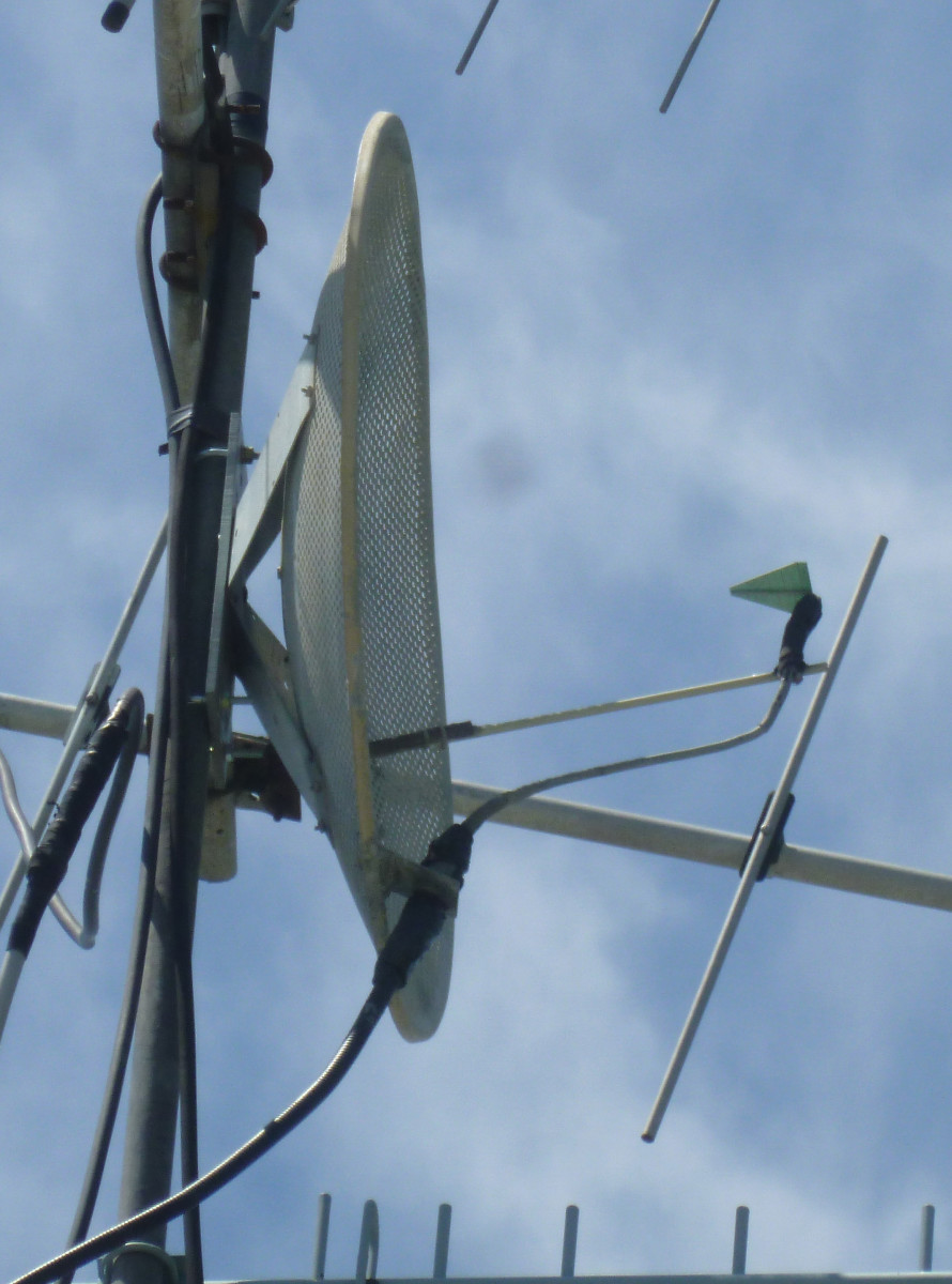 You can use log periodic antennas as satellite dish feeds. 