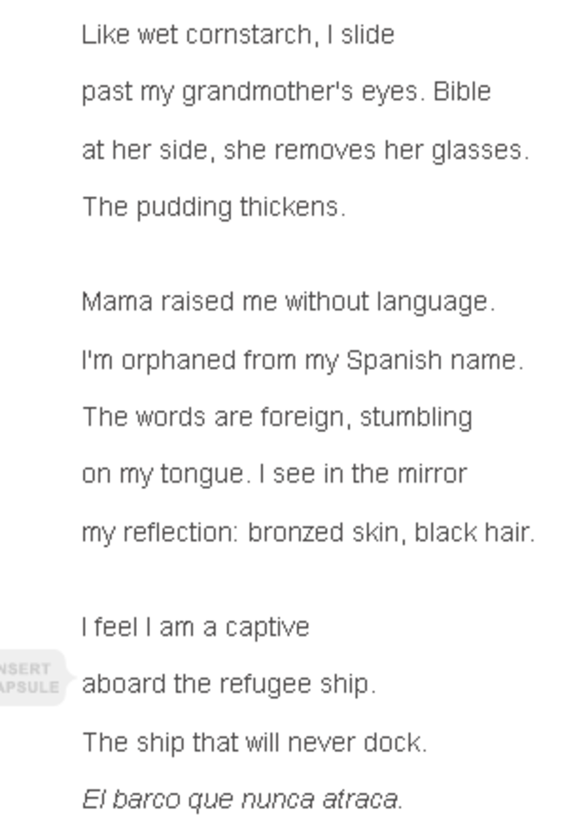 analysis-of-poem-refugee-ship-by-lorna-dee-cervantes