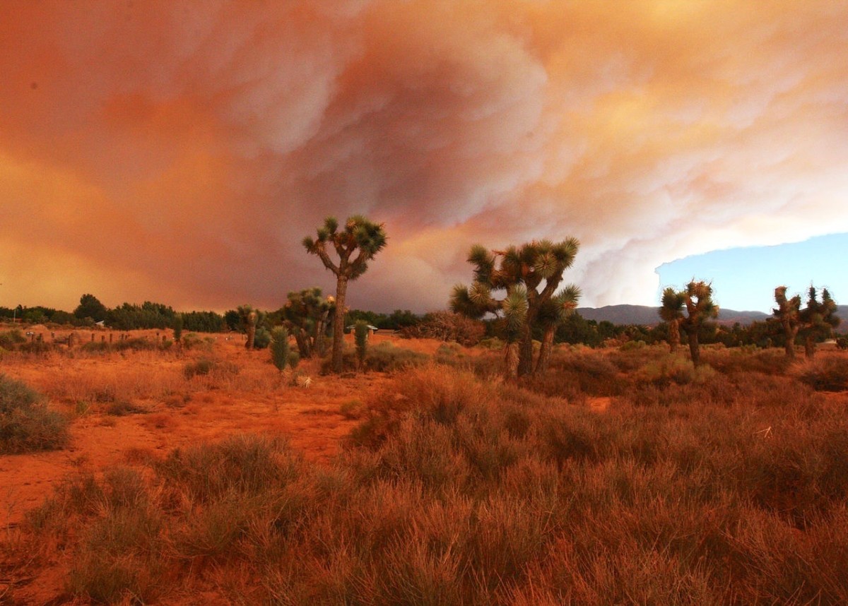 Smoke from the Station Fire in August, 2009, as seen from the Antelope Valley side of the mountains. It was the largest wildfire in California that year and the largest in Los Angeles' history.