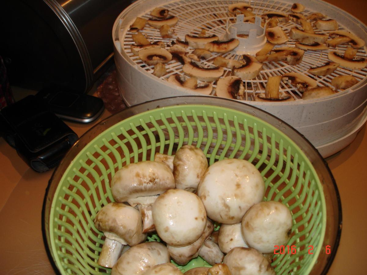 You can use your dehydrator to dry more than just vegetables and mushrooms.