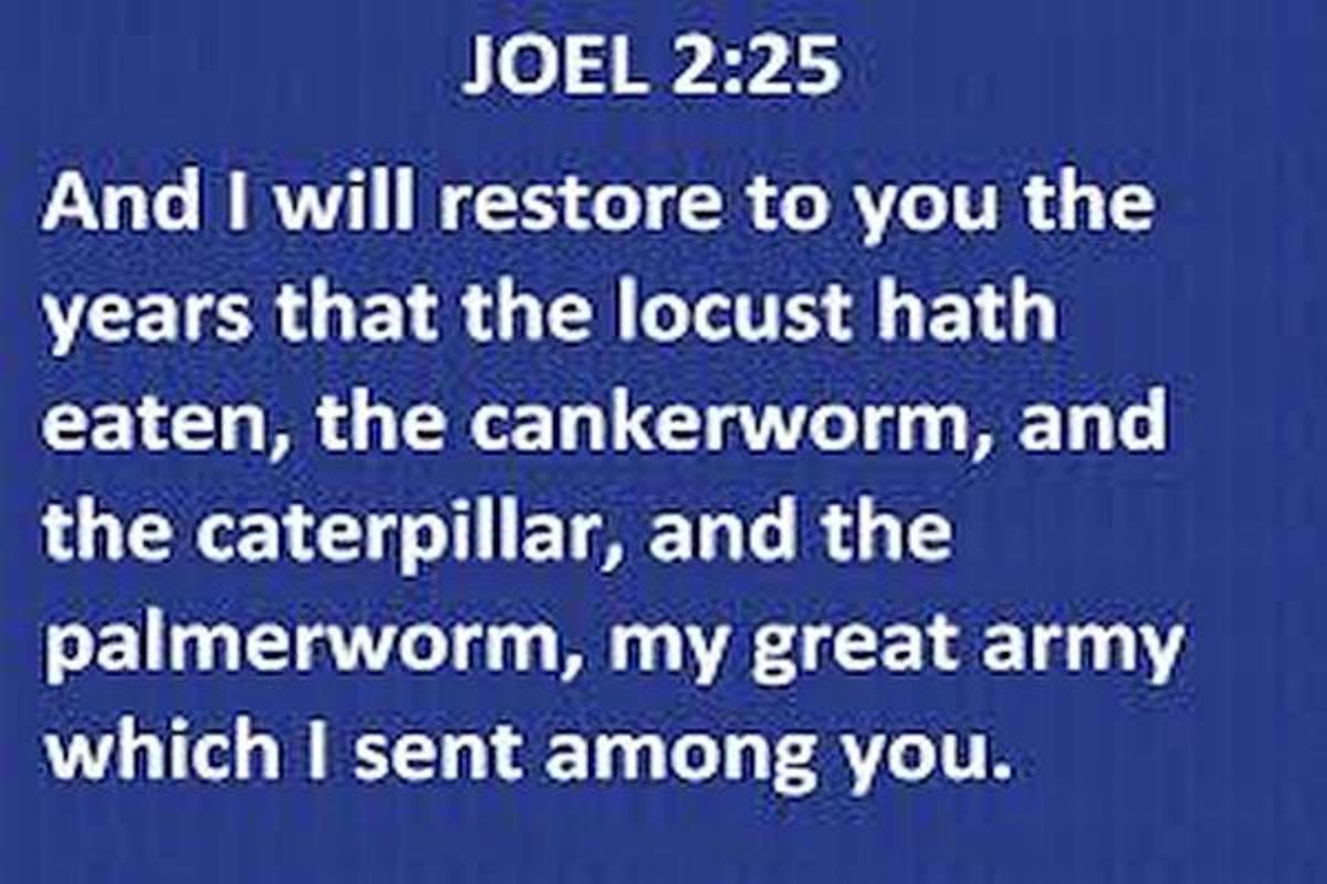joel-225-is-the-promise-of-restoration