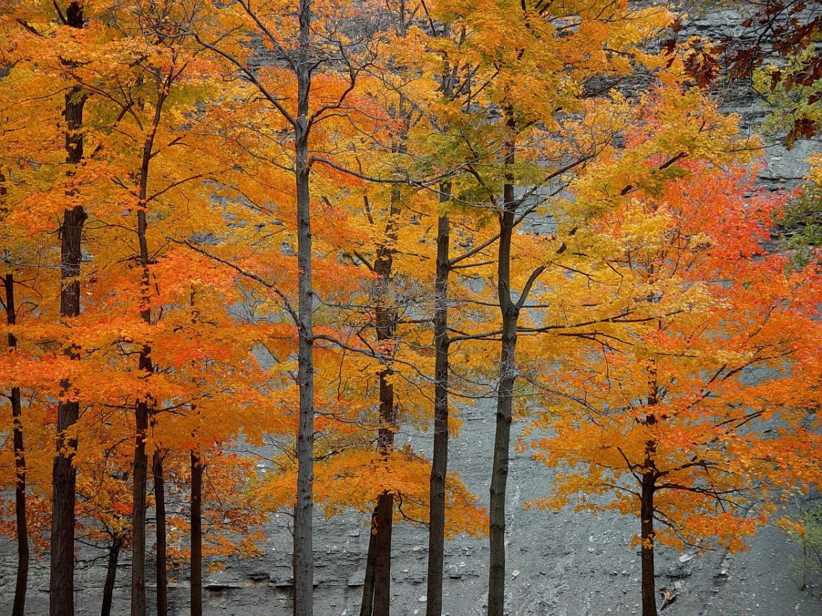 Autumn in Northern Ohio