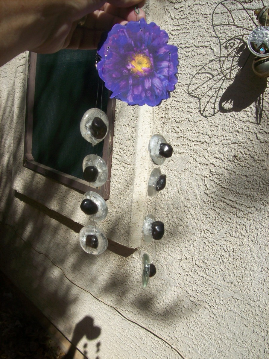 Aster is September's birth month flower.