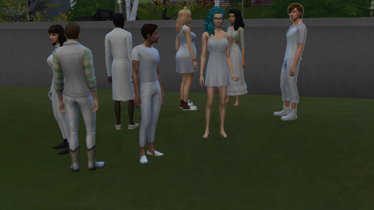 Interesting Sims 4 Storylines And Challenges LevelSkip