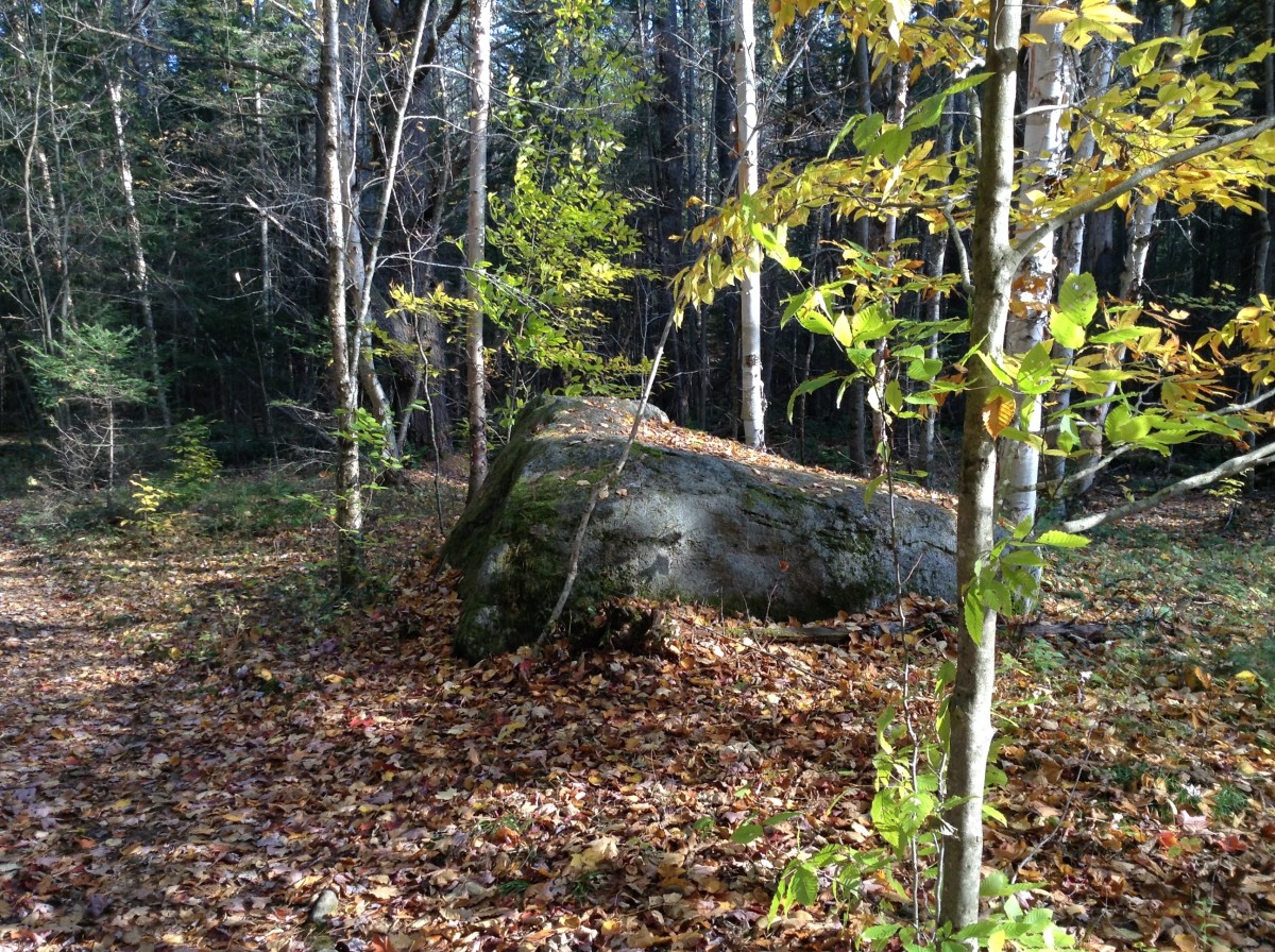 Big Boulder on the trail 25 minutes into the hike