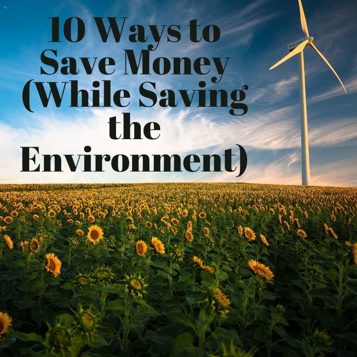 10 Ways to Save Money While Protecting the Environment