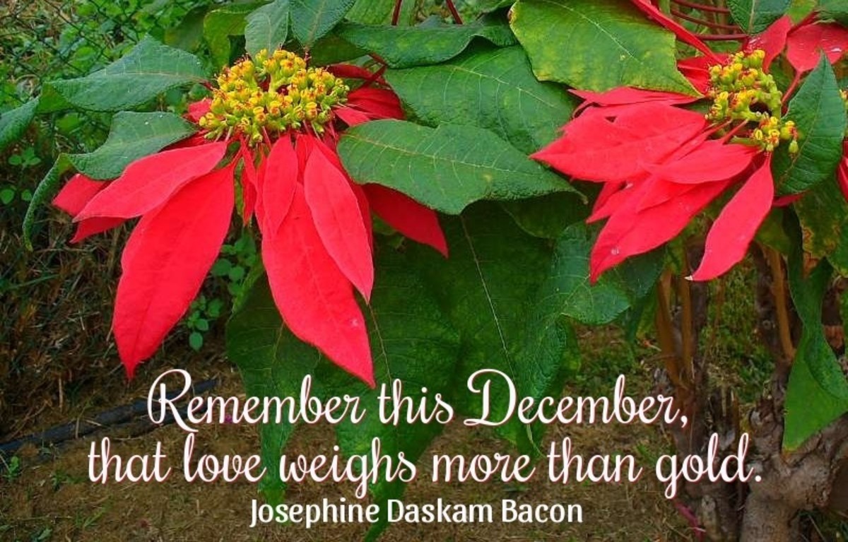 Remember this December, that love weighs more than gold.