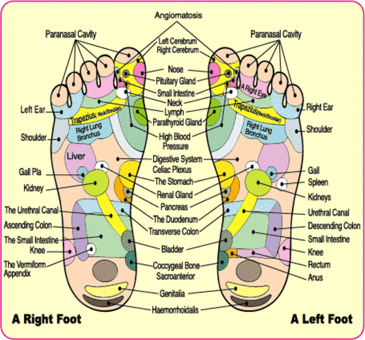Here's one version of a reflexology chart.