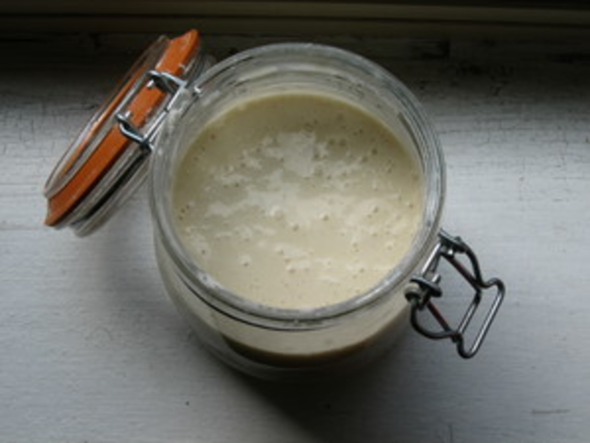 how_to_make_a_sourdough_starter_its_easy_to_make_and_use