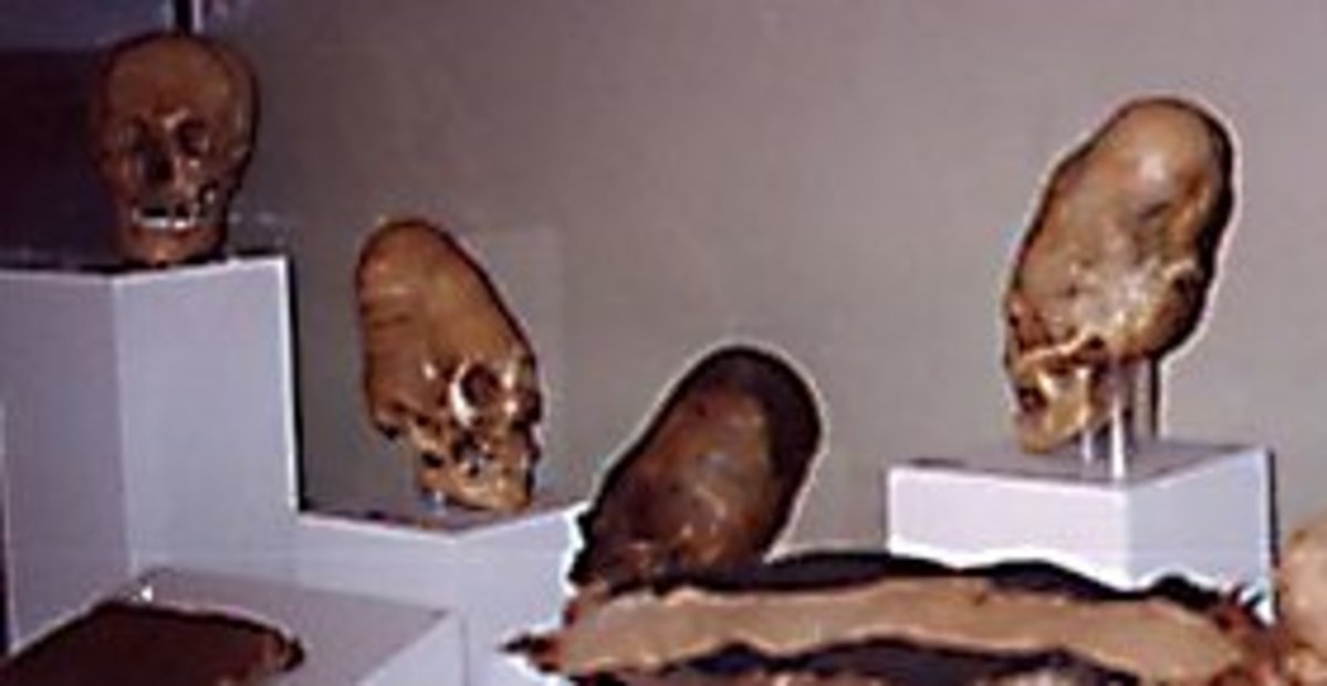 Ica Museum Skulls Peru