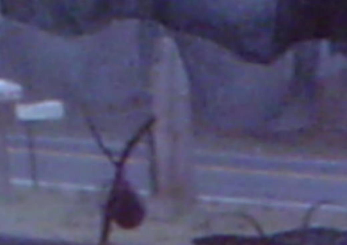 Mysterious cloaked figure (courtesy of bluemoonghosthunters.com)