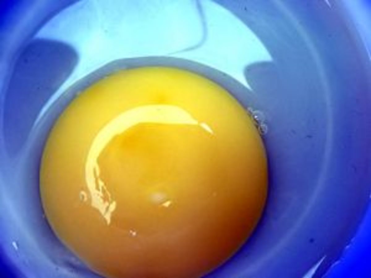 what_to_make_with_extra_egg_yolks
