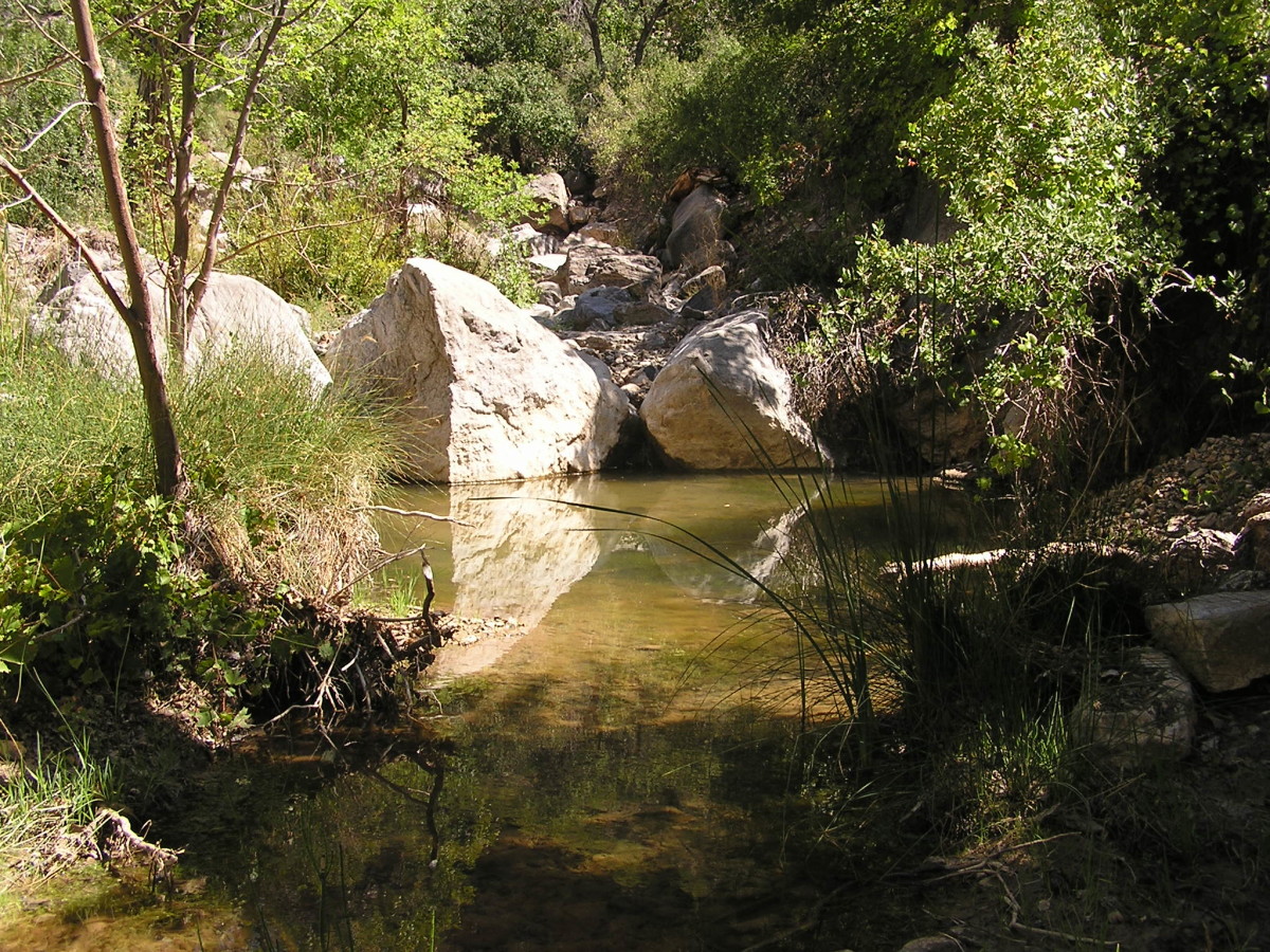 Creek pool near Line Cabin.