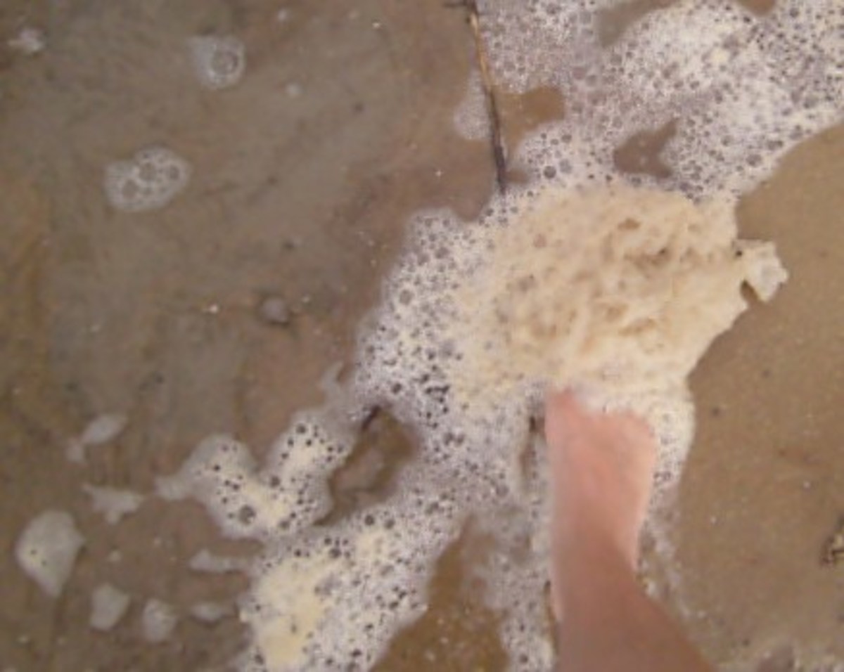 Foamy water stuck to feet like fuzzy bathroom slippers