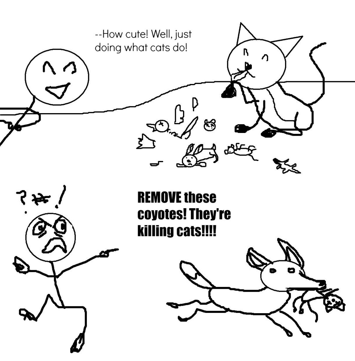 10 Stupid Arguments People Make for Outdoor Cat Roaming HubPages