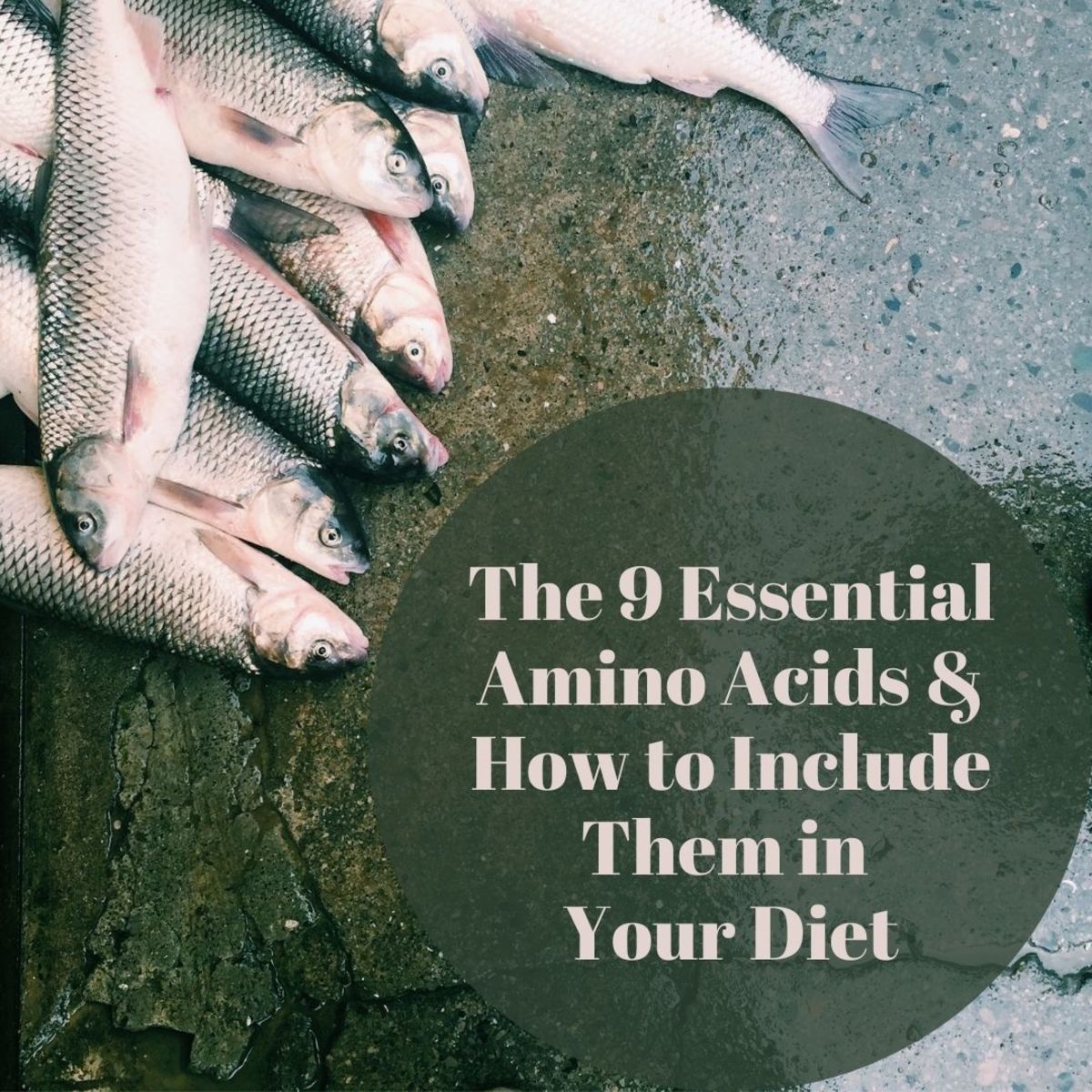 The 9 Essential Amino Acids and Their Importance to Your Body