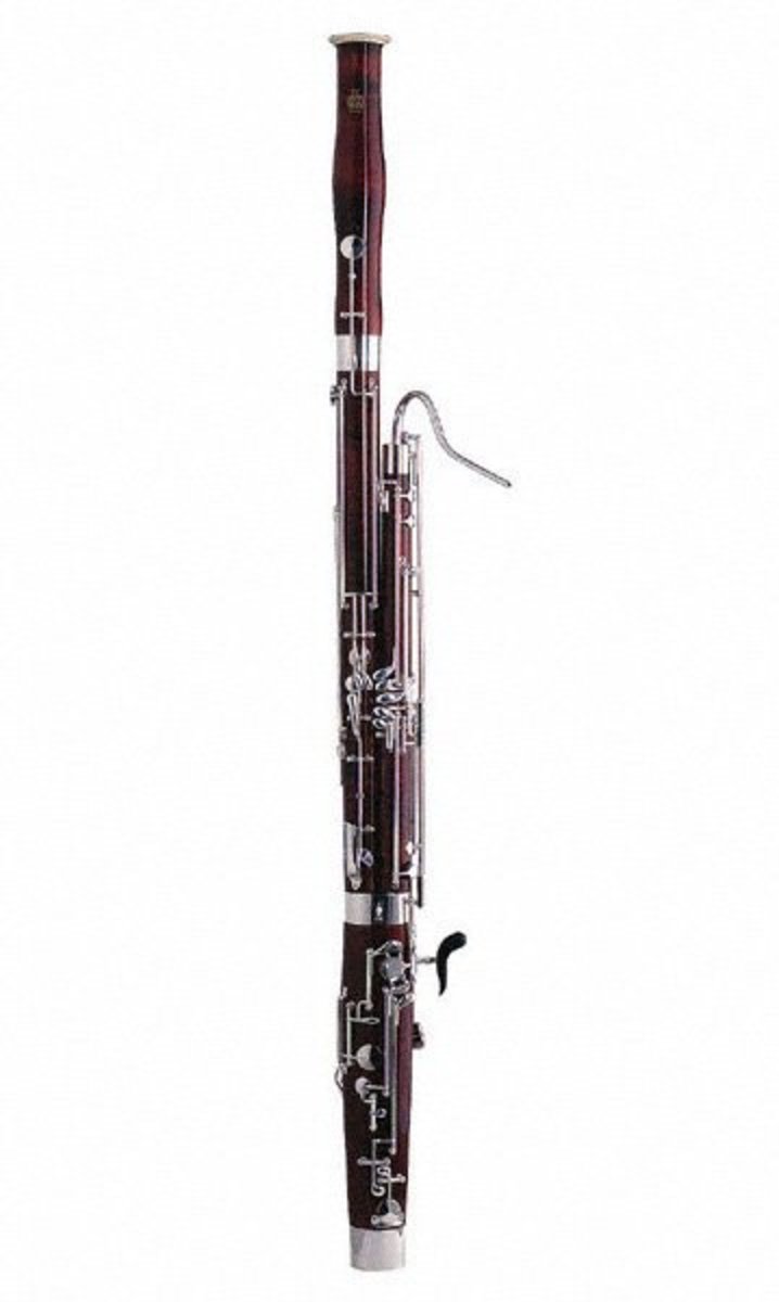 I want to play the bassoon! - All about Bassoons