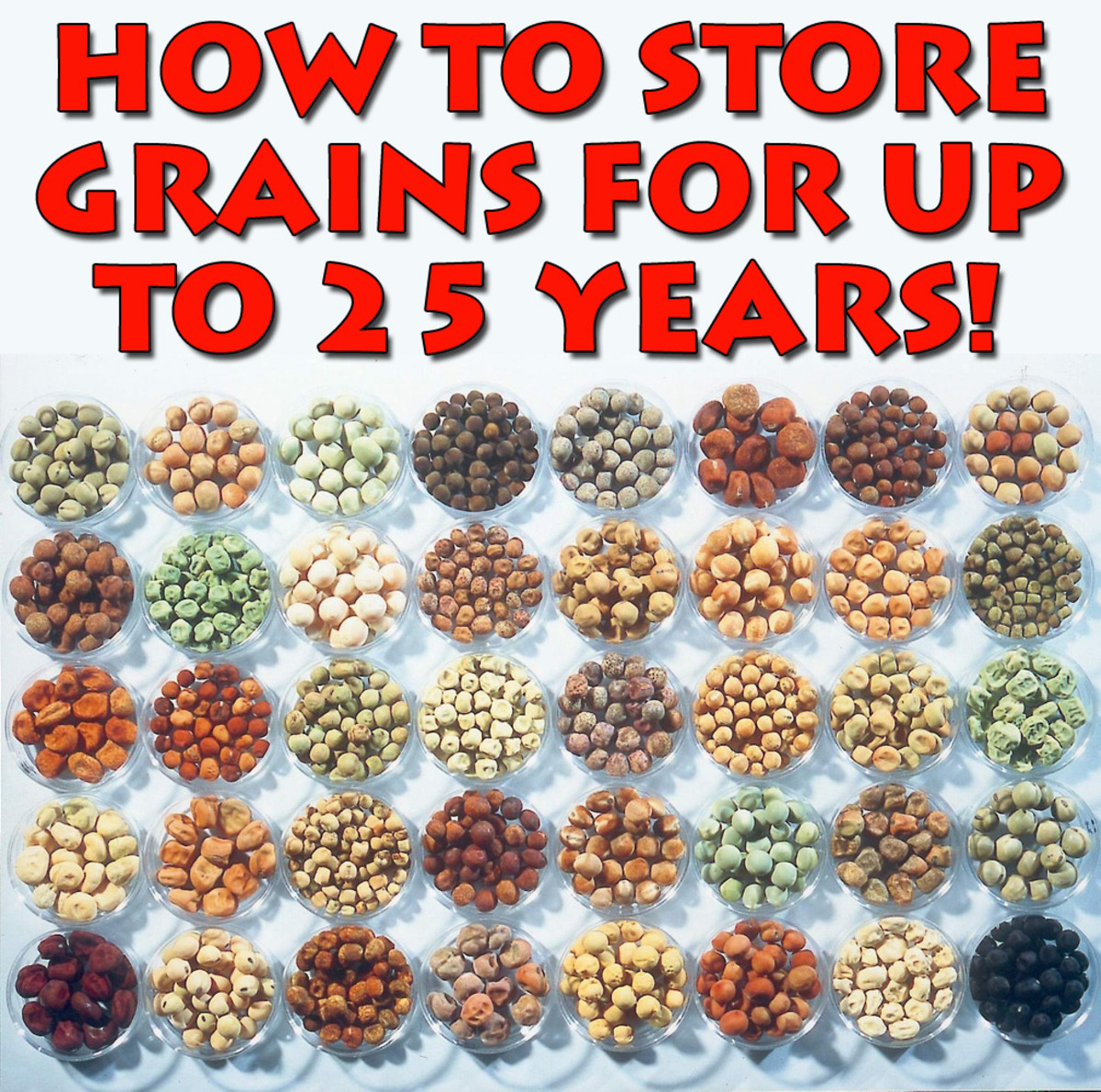 the-survival-guide-to-long-term-food-storage-part-6