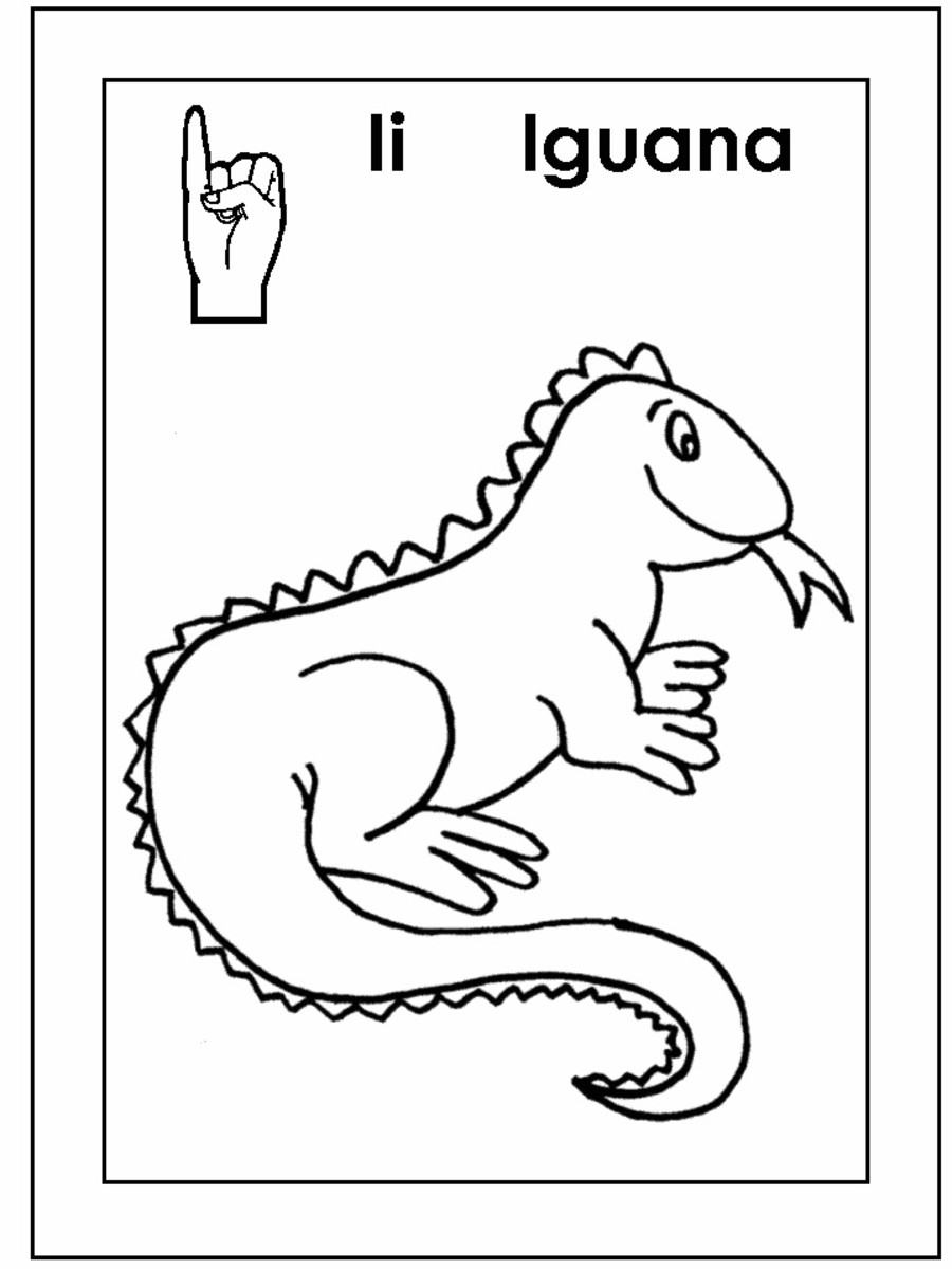 Iguana раскраска на английском