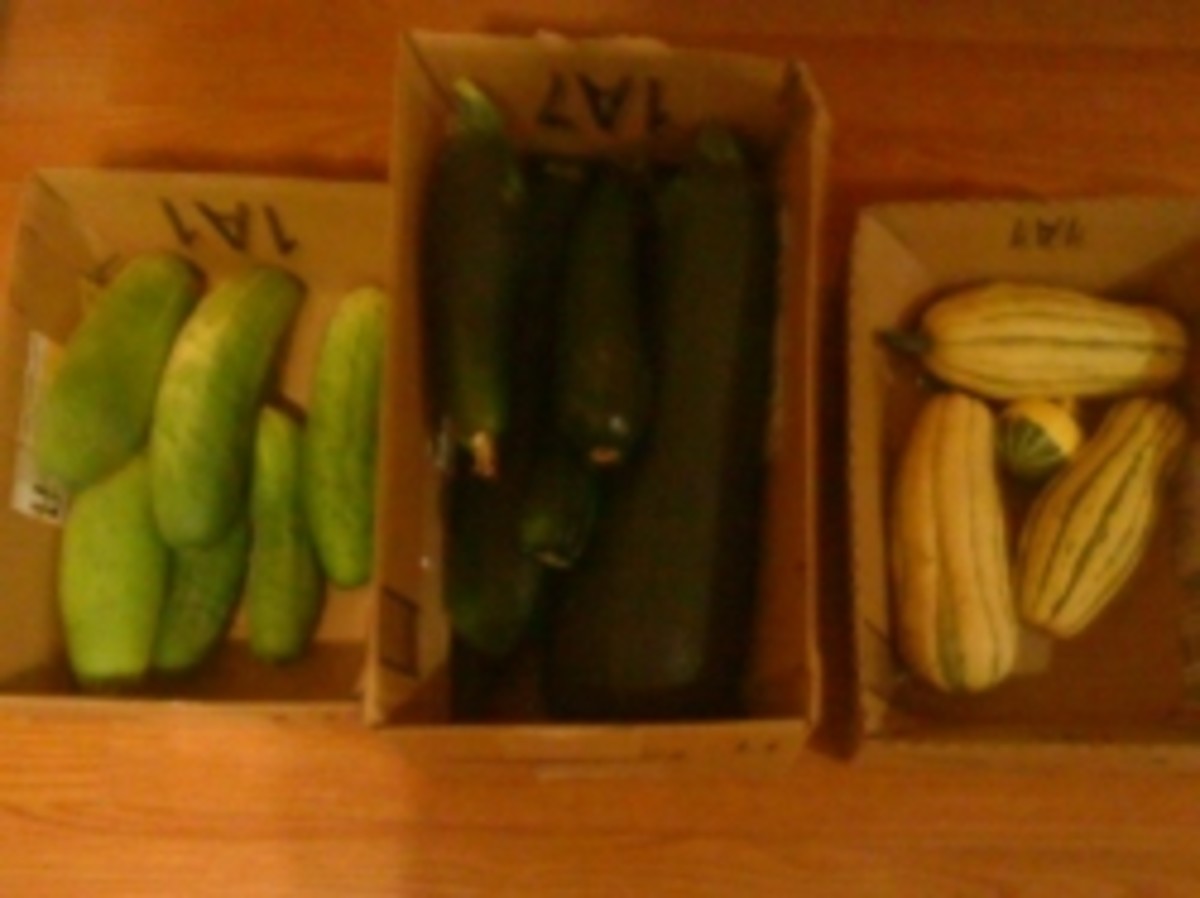 Pickling Vegetables