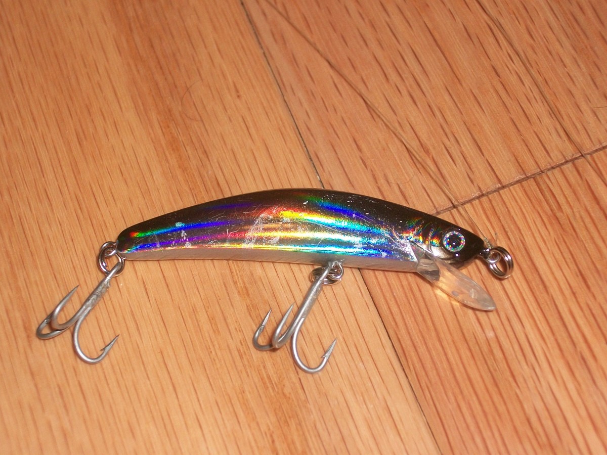 This cheap Yo-zuri crank bait has been very lucky for me.