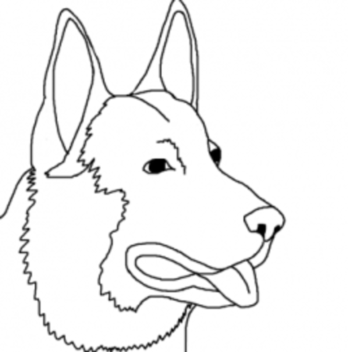 dog-breed-coloring-pages-2