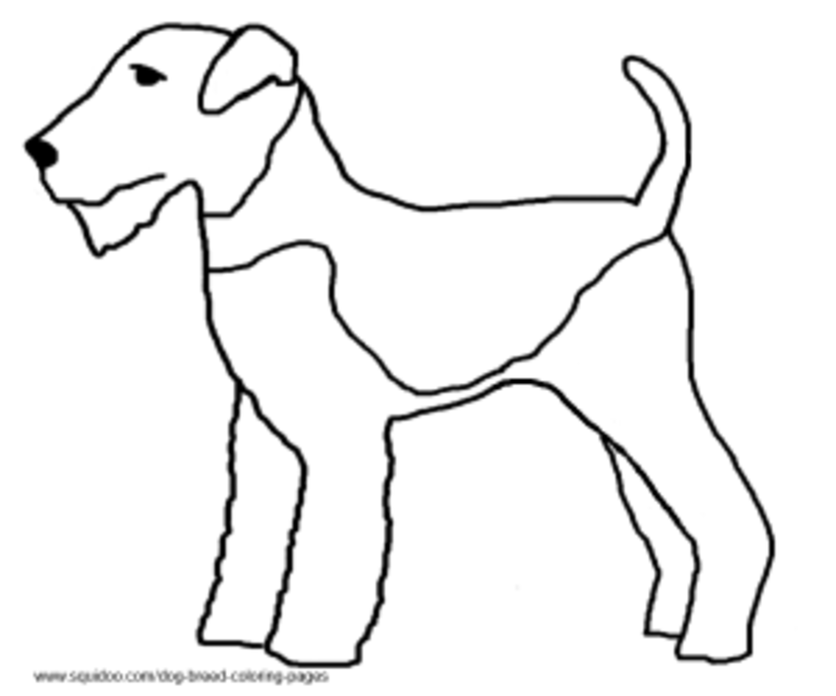 Airedale Terrier coloring page