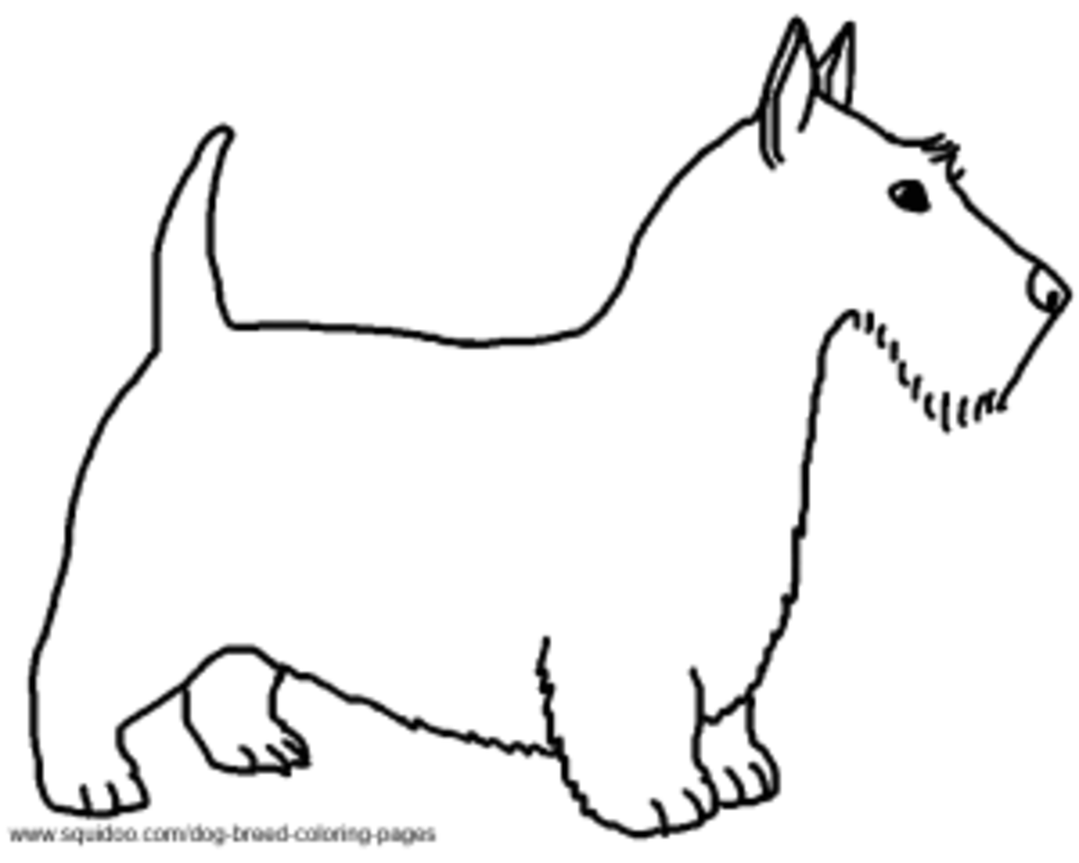 Scottish terrier coloring pages