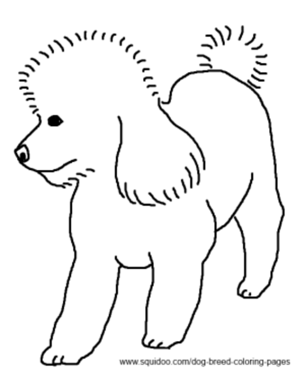 poodle coloring page