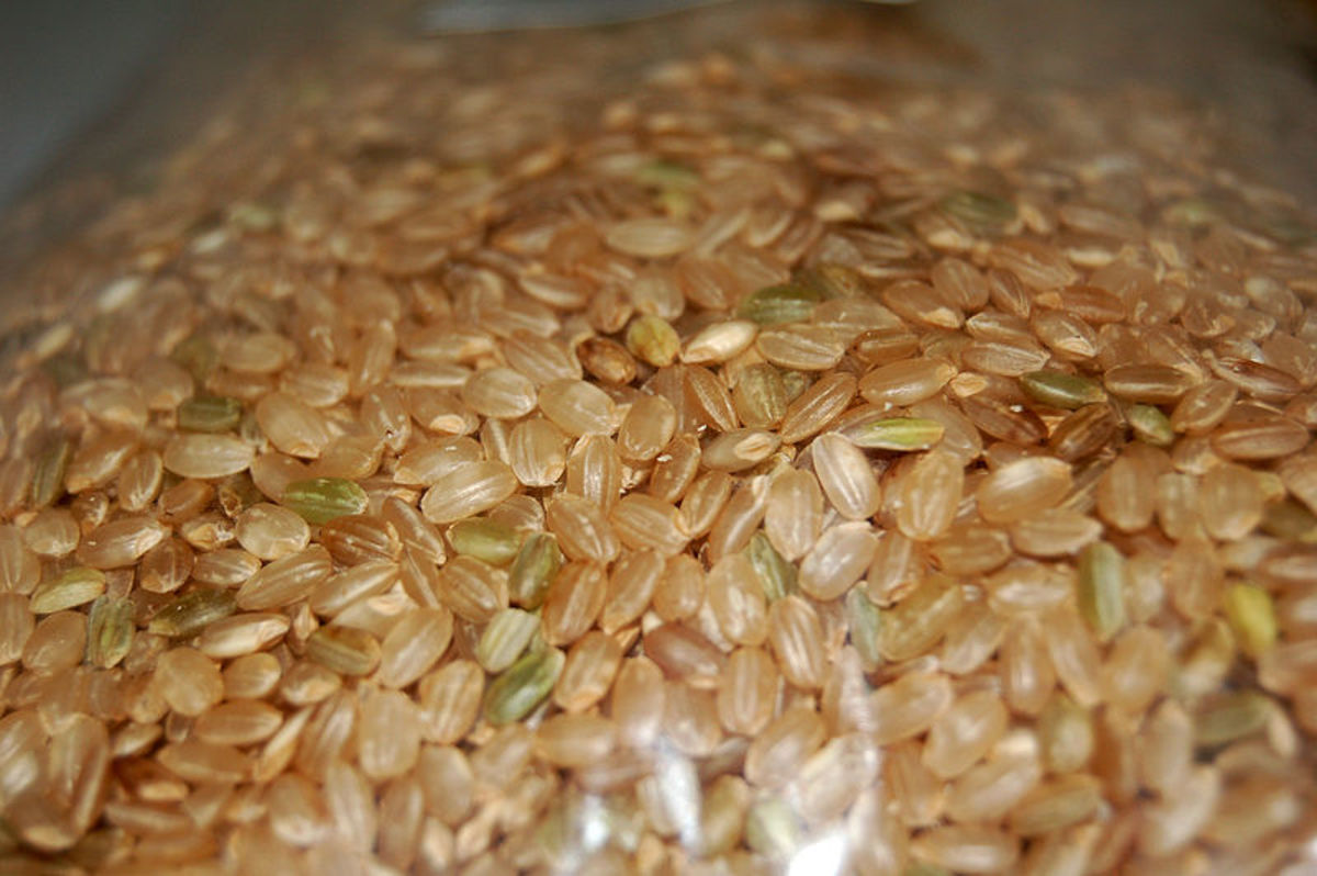 Brown Rice - This is a file from the Wikimedia Commons.Author Dan McKay  
