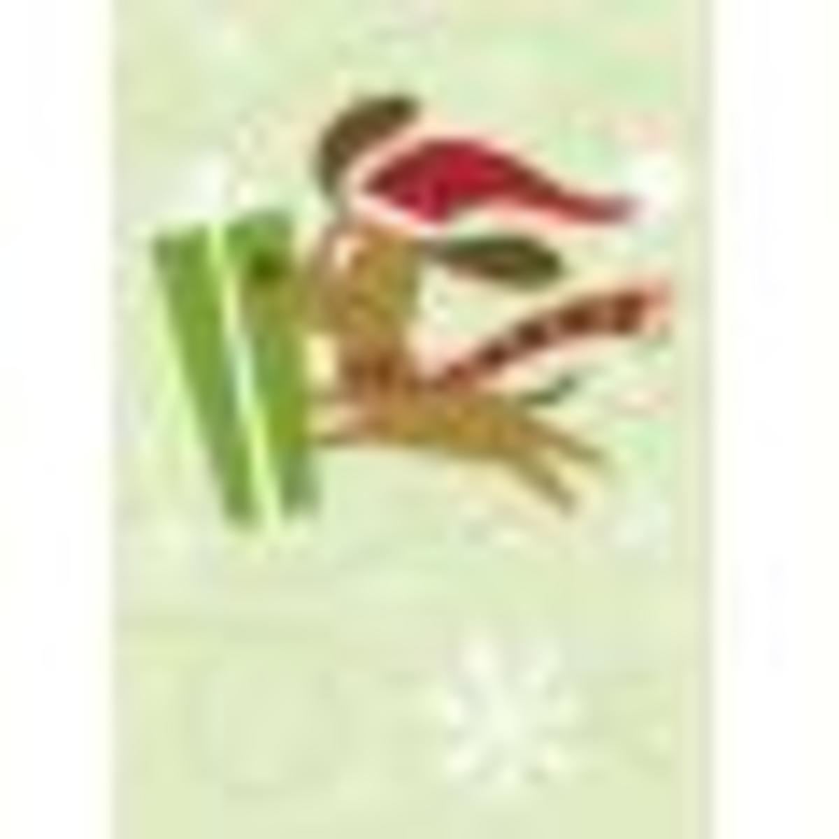 Funny night before christmas pics