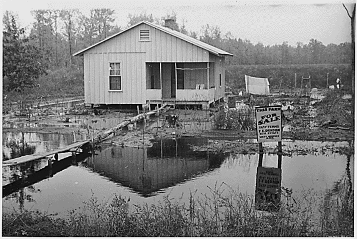 Farm foreclosure sale in 1933