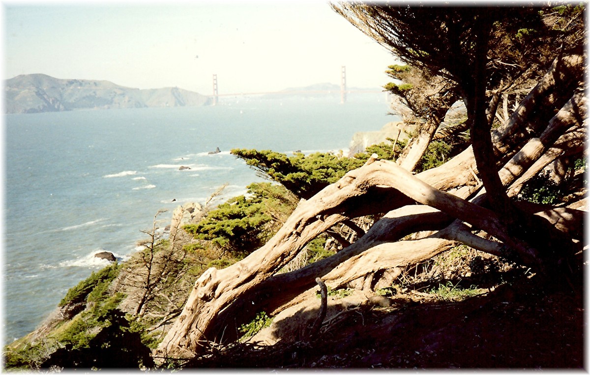Scenery as we head back - Golden Gate Bridge faintly in view