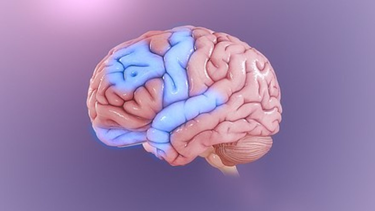 Abnormal Brain Activity
